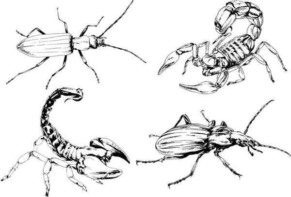 Desenhos Vetoriais Esboços Diferentes Insetos Insetos Escorpiões Aranhas Desenhadas Tinta —  Vetores de Stock