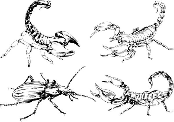 Vectortekeningen Schetst Verschillende Insecten Insecten Schorpioenen Spinnen Met Hand Getekend — Stockvector