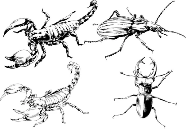 Disegni Vettoriali Schizzi Insetti Diversi Insetti Ragni Scorpioni Disegnati Mano — Vettoriale Stock