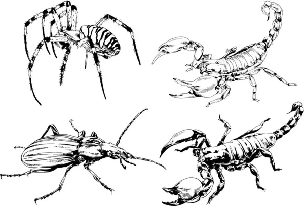 Dibujos Vectoriales Bocetos Insectos Diferentes Insectos Scorpions Arañas Dibujadas Con — Vector de stock