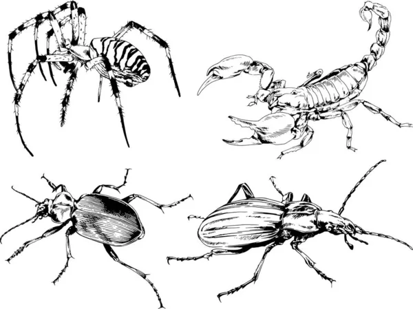 Dibujos Vectoriales Bocetos Insectos Diferentes Insectos Scorpions Arañas Dibujadas Con — Vector de stock