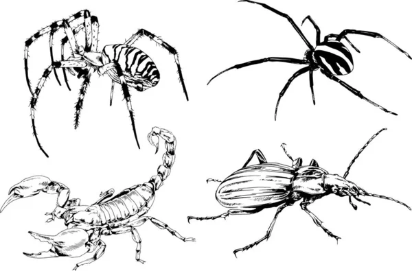 Desenhos Vetoriais Esboços Diferentes Insetos Insetos Escorpiões Aranhas Desenhadas Tinta — Vetor de Stock