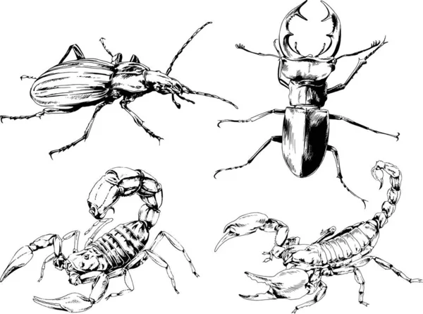 ベクトル図は異なる昆虫のバグをスケッチ手でインクで描かれたスコーピオンクモ 背景のないオブジェクト — ストックベクタ