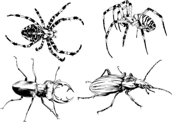 그림은 손으로 잉크로 물체들을 벌레들의 거미들을 그림이다 — 스톡 벡터