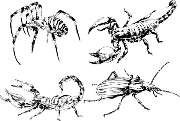 ベクトル図は異なる昆虫のバグをスケッチ手でインクで描かれたスコーピオンクモ 背景のないオブジェクト — ストックベクタ