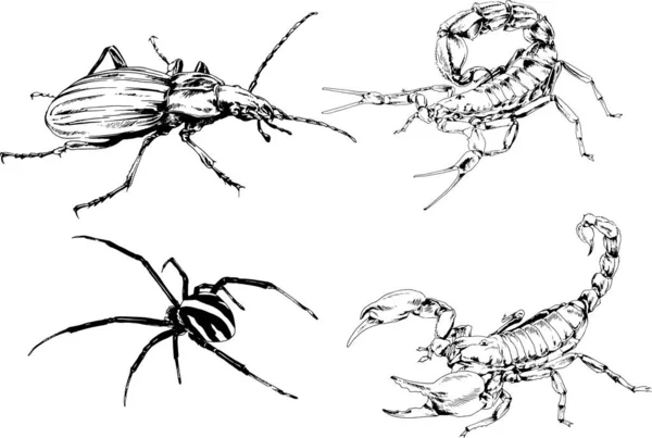 Desenhos Vetoriais Esboços Diferentes Insetos Insetos Escorpiões Aranhas Desenhadas Tinta — Vetor de Stock