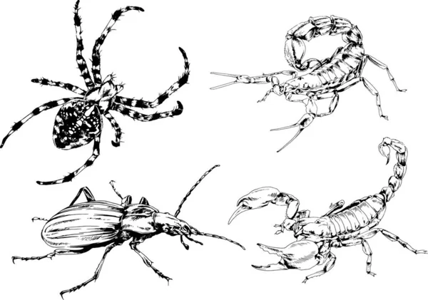 Vectortekeningen Schetst Verschillende Insecten Insecten Schorpioenen Spinnen Met Hand Getekend — Stockvector