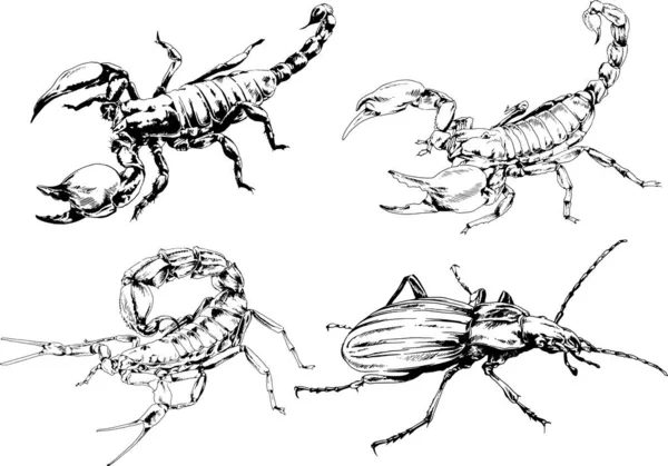 Dessins Vectoriels Esquisse Différents Insectes Insectes Scorpions Araignées Dessinées Encre — Image vectorielle