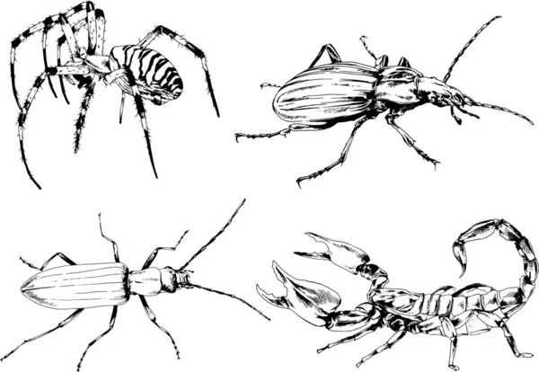 Desenhos Vetoriais Esboços Diferentes Insetos Insetos Escorpiões Aranhas Desenhadas Tinta —  Vetores de Stock