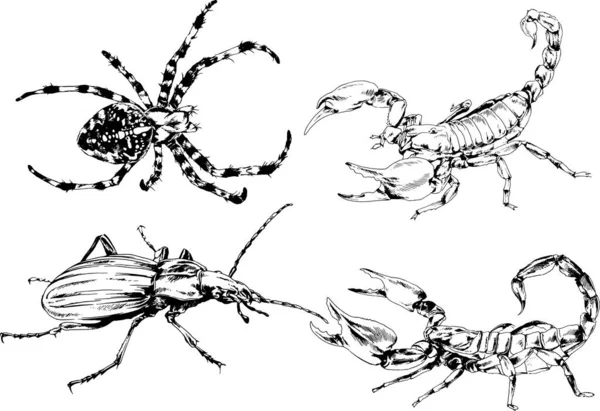 ベクトル図は異なる昆虫のバグをスケッチ手でインクで描かれたスコーピオンクモ 背景のないオブジェクト — ストックベクタ