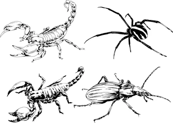 Dibujos Vectoriales Bocetos Insectos Diferentes Insectos Scorpions Arañas Dibujadas Con — Archivo Imágenes Vectoriales