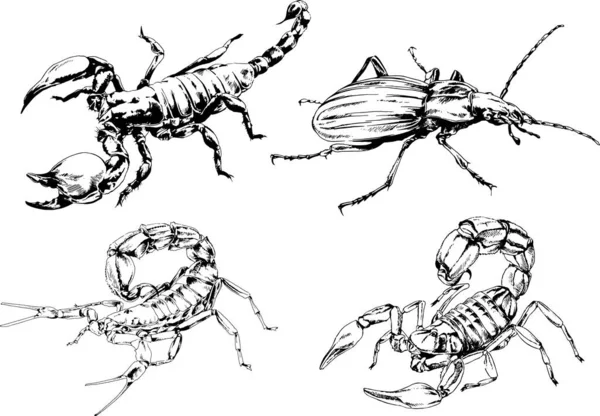 Desenhos Vetoriais Esboços Diferentes Insetos Insetos Escorpiões Aranhas Desenhadas Tinta — Vetor de Stock