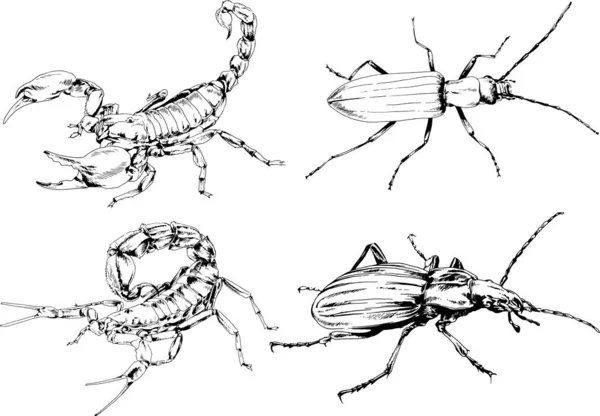 Векторные Рисунки Эскизы Различных Насекомых Жуки Scorpions Пауки Нарисованы Чернилами — стоковый вектор