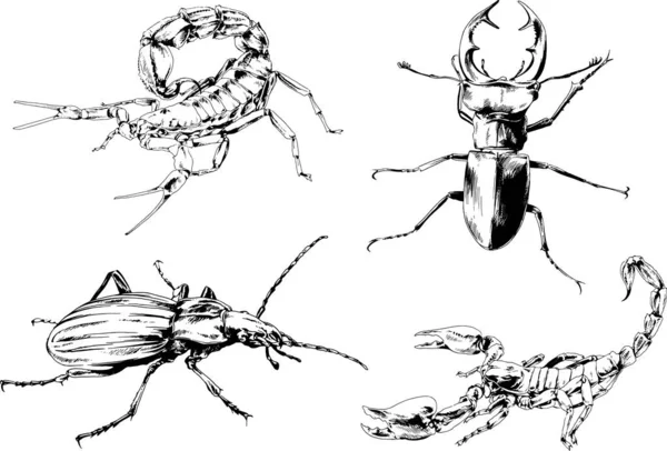 ベクトル図は異なる昆虫のバグをスケッチ手でインクで描かれたスコーピオンクモ 背景のないオブジェクト — ストックベクタ