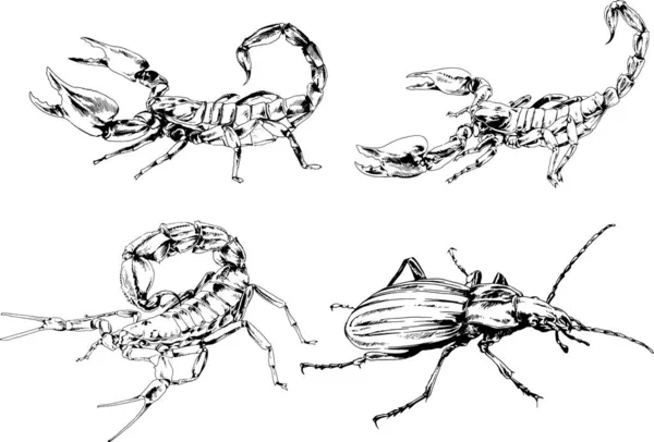 ベクトル図は異なる昆虫のバグをスケッチ手でインクで描かれたスコーピオンクモ 背景のないオブジェクト — ストックベクタ