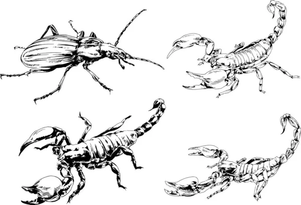 Vectortekeningen Schetst Verschillende Insecten Insecten Schorpioenen Spinnen Met Hand Getekend — Stockvector