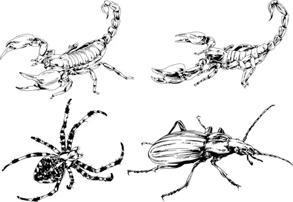 그림은 손으로 잉크로 물체들을 벌레들의 거미들을 그림이다 — 스톡 벡터