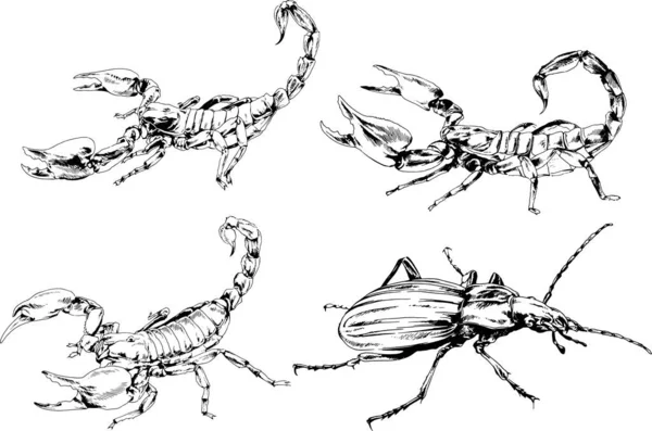 Desenhos Vetoriais Esboços Diferentes Insetos Insetos Escorpiões Aranhas Desenhadas Tinta —  Vetores de Stock