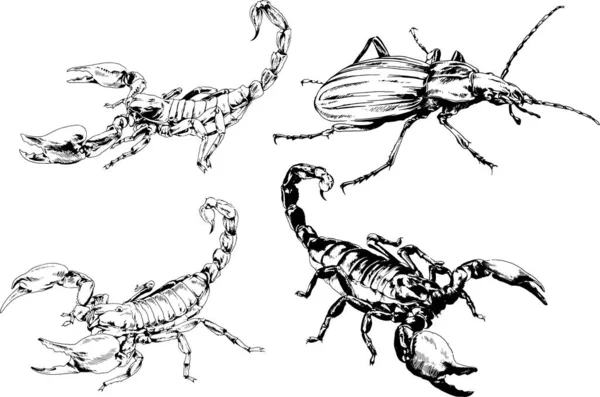 Dibujos Vectoriales Bocetos Insectos Diferentes Insectos Scorpions Arañas Dibujadas Con — Vector de stock