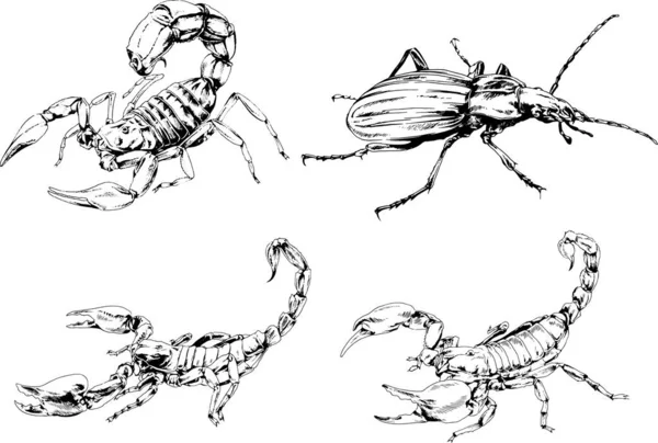 Vectortekeningen Schetst Verschillende Insecten Insecten Schorpioenen Spinnen Met Hand Getekend — Stockvector