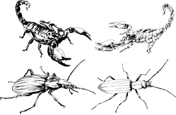 Vectortekeningen Schetst Verschillende Insecten Insecten Schorpioenen Spinnen Met Hand Getekend — Stockvector