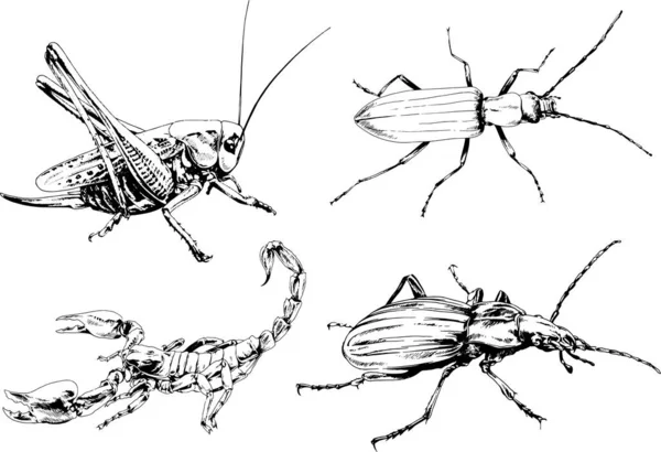 Vectortekeningen Schetst Verschillende Insecten Insecten Schorpioenen Spinnen Met Hand Getekend — Stockvector