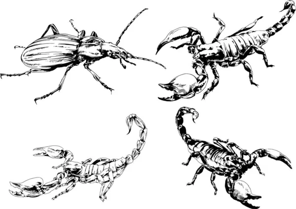 Vectortekeningen Schetst Verschillende Insecten Insecten Schorpioenen Spinnen Met Hand Getekend — Stockvector