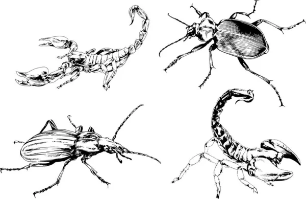 Векторные Рисунки Эскизы Различных Насекомых Жуки Scorpions Пауки Нарисованы Чернилами — стоковый вектор