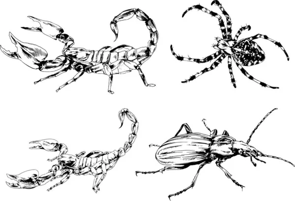 Vektorzeichnungen Skizzieren Verschiedene Insekten Käfer Skorpione Spinnen Mit Tusche Von — Stockvektor