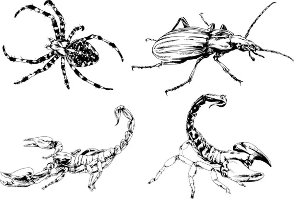 Vectortekeningen Schetst Verschillende Insecten Insecten Schorpioenen Spinnen Met Hand Getekend — Stockvector