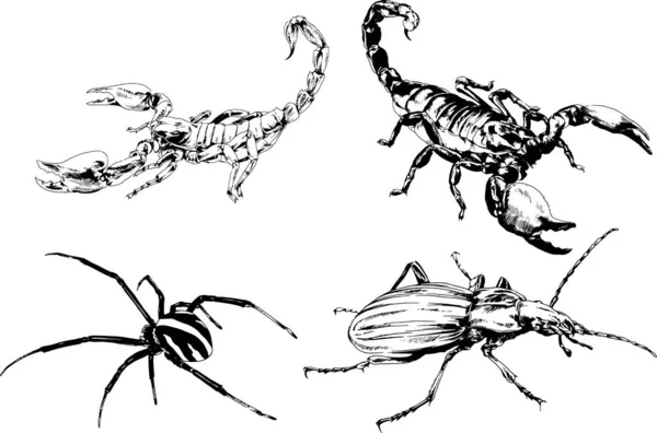 ベクトル図は異なる昆虫のバグをスケッチ手でインクで描かれたスコーピオンクモ 背景のないオブジェクト — ストックベクタ