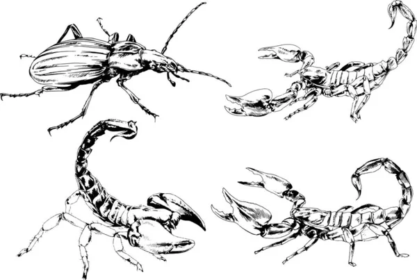 ベクトル図は異なる昆虫のバグをスケッチ手でインクで描かれたスコーピオンクモ 背景のないオブジェクト — ストックベクタ