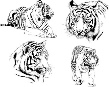 Yırtıcıların temasındaki vektör çizimleri mürekkep dövmeli logolarla elle çizilir.