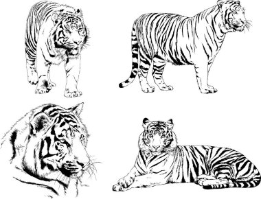 Yırtıcıların temasındaki vektör çizimleri mürekkep dövmeli logolarla elle çizilir.