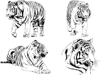 Yırtıcıların temasındaki vektör çizimleri mürekkep dövmeli logolarla elle çizilir.