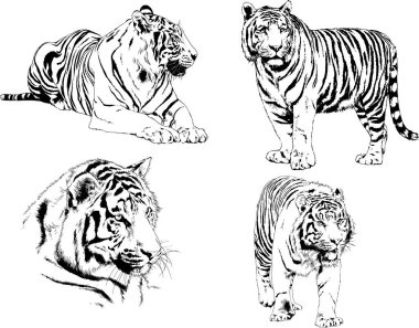 Yırtıcıların temasındaki vektör çizimleri mürekkep dövmeli logolarla elle çizilir.