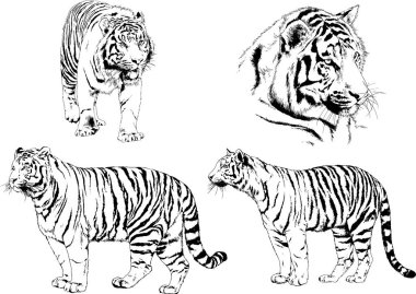 Yırtıcıların temasındaki vektör çizimleri mürekkep dövmeli logolarla elle çizilir.