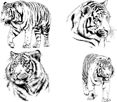 Yırtıcıların temasındaki vektör çizimleri mürekkep dövmeli logolarla elle çizilir.