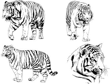 Yırtıcıların temasındaki vektör çizimleri mürekkep dövmeli logolarla elle çizilir.