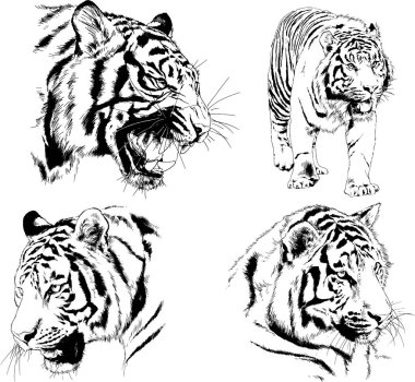 Yırtıcıların temasındaki vektör çizimleri mürekkep dövmeli logolarla elle çizilir.