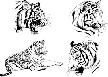 Yırtıcıların temasındaki vektör çizimleri mürekkep dövmeli logolarla elle çizilir.