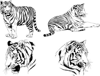 Yırtıcıların temasındaki vektör çizimleri mürekkep dövmeli logolarla elle çizilir.