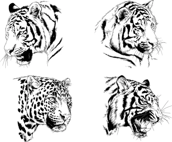 Set Vector Drawings Theme Predators Tigers Drawn Hand Ink Tattoo — Stock Vector