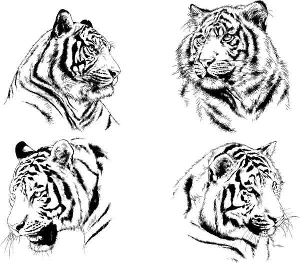 Set Vector Drawings Theme Predators Tigers Drawn Hand Ink Tattoo — Stock Vector