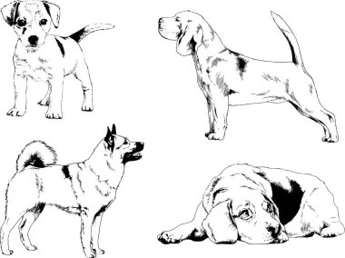 vektör çizim cins köpekler mürekkeple elle çizilmiş raflar içinde skeçler, arka plan ile obje