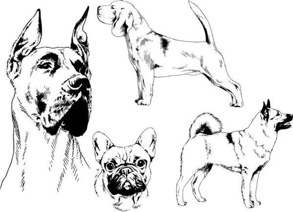 Διανυσματικά Σχέδια Σκίτσα Γενεαλογικών Σκύλων Για Ράφια Μελάνι Χειροποιήτο Αντικείμενα — Διανυσματικό Αρχείο
