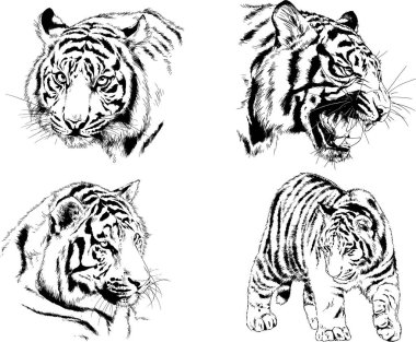 Yırtıcıların temasındaki vektör çizimleri mürekkep dövmeli logolarla elle çizilir.