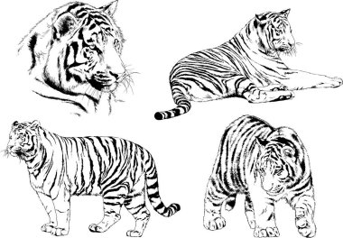 Yırtıcıların temasındaki vektör çizimleri mürekkep dövmeli logolarla elle çizilir.