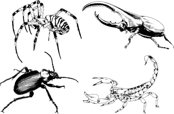 ベクトル図は異なる昆虫のバグをスケッチ手でインクで描かれたスコーピオンクモ 背景のないオブジェクト — ストックベクタ