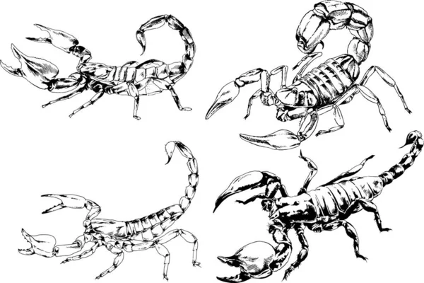 ベクトル図は異なる昆虫のバグをスケッチ手でインクで描かれたスコーピオンクモ 背景のないオブジェクト — ストックベクタ